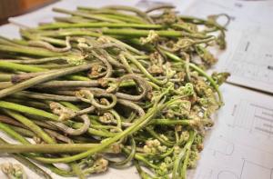 0b03a02716d26d581bc3fe5a1e65b0a767165a4b.jpegメイン画像