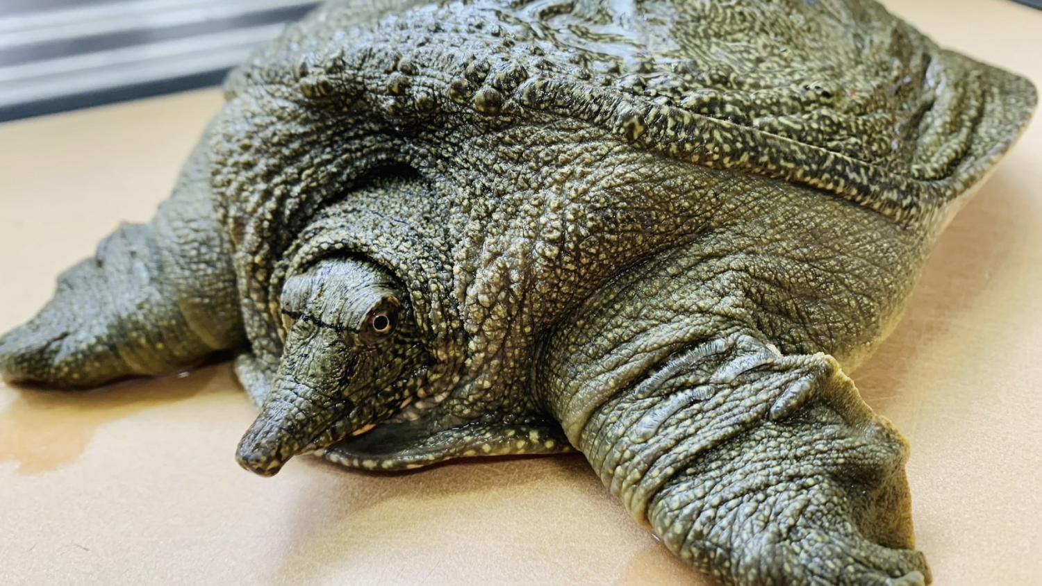 3d8fa7b471cfd4f4fe9e441edc5fa8c617c8d633.jpegメイン画像