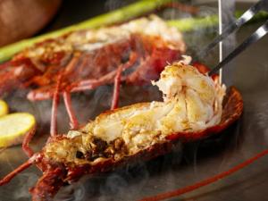 47a39723c66d859454413a4d7c3407da8d566e78.jpegメイン画像