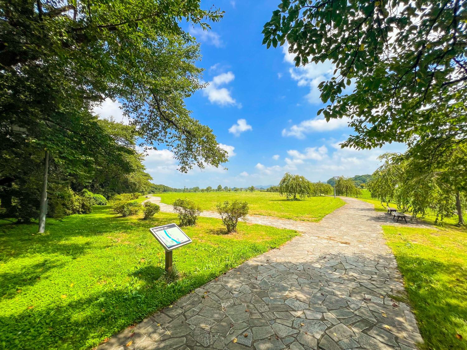 4d07204b3678028699415443fee470bf2b0e8704.jpegメイン画像