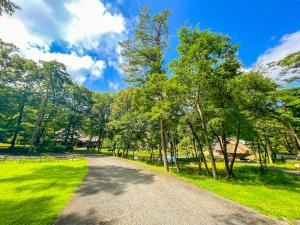 c8ec091f7fd4dd31f8c950612900e468197cfd7a.jpegメイン画像