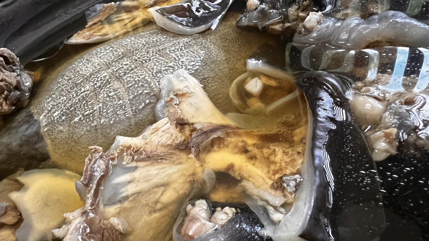 d58bde017b83d096e0531d1924e1d337978a5d40.jpegメイン画像